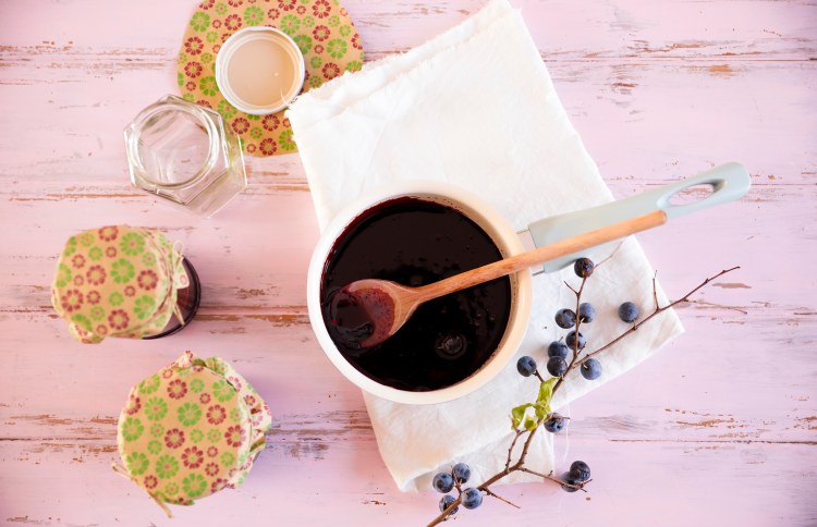 sloeberryjelly-prunelles-claudialeclercq1