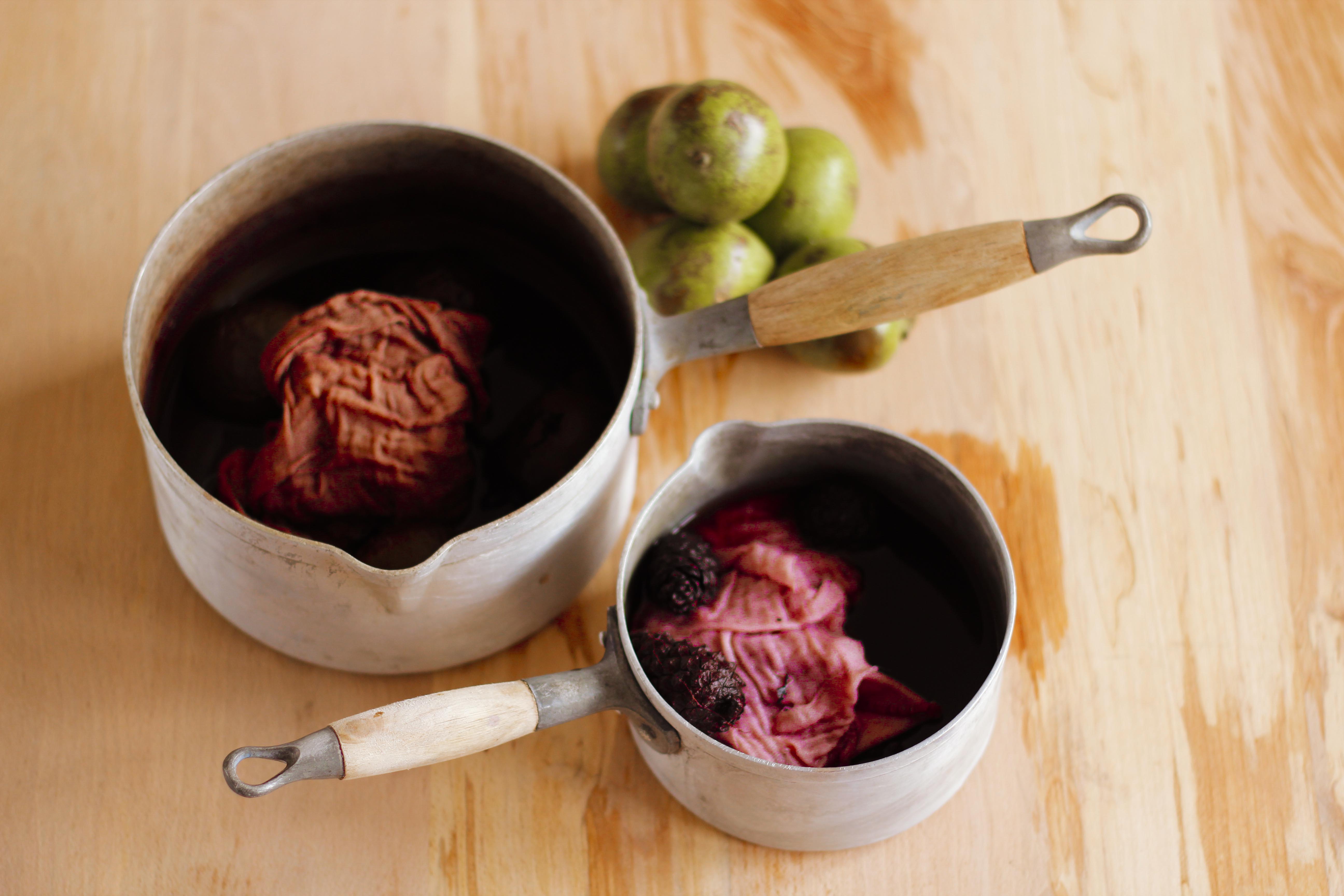 vegetaldyeing-claudialeclercq-viajebotanico1