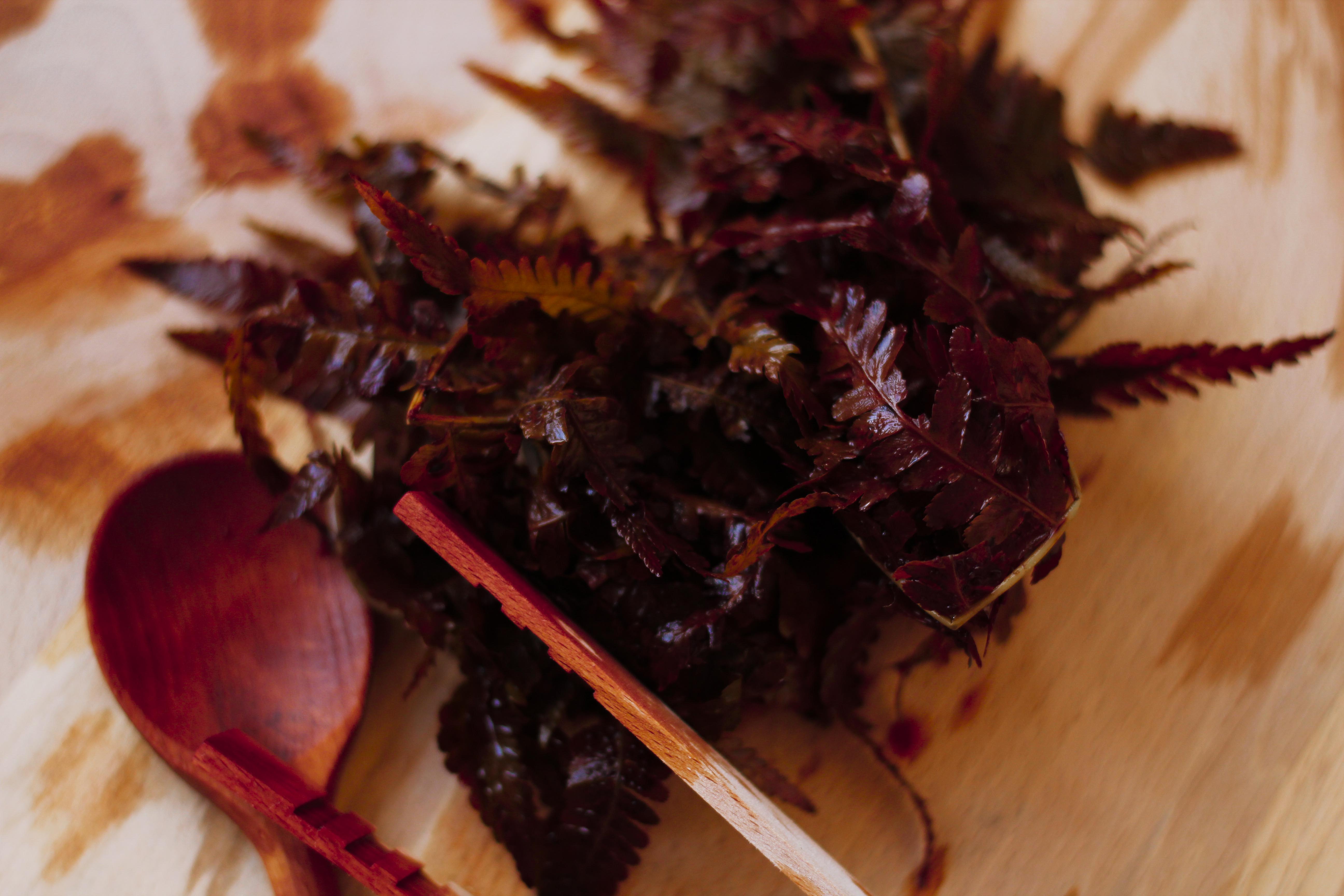 vegetaldyeing-claudialeclercq-viajebotanico3