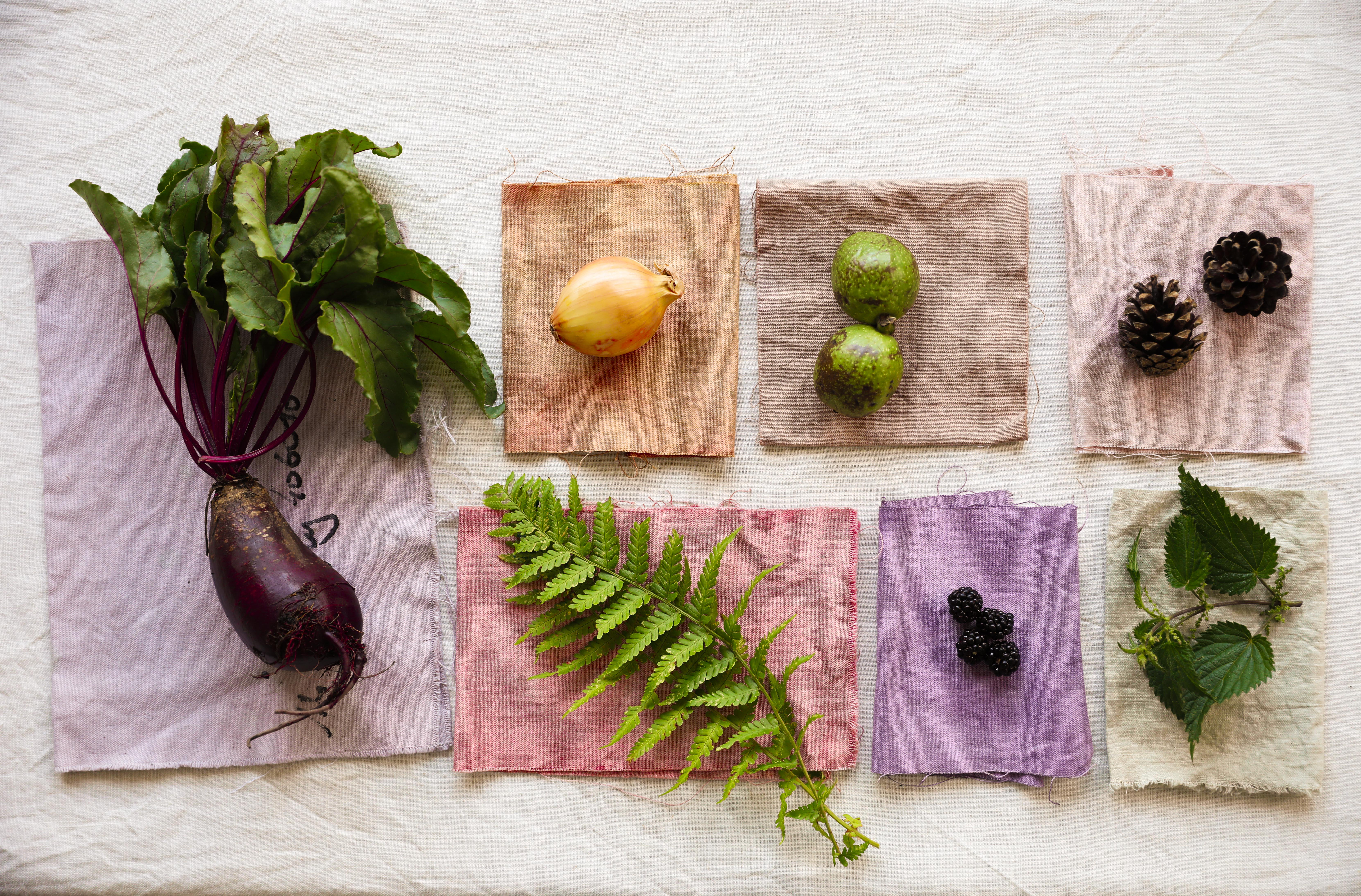 vegetaldyeing-claudialeclercq-viajebotanico6