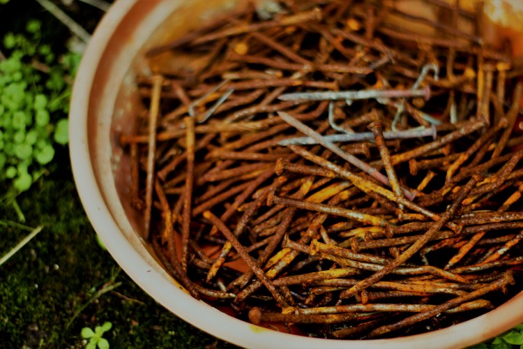 claudialeclercq-dusoleildanslenord-naturaldyeing-tintesnaturales-25 (2)