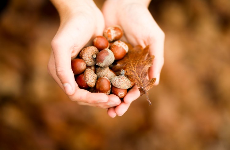 claudialeclercq-dusoleildanslenord-naturaldyeing-tintesnaturales-4