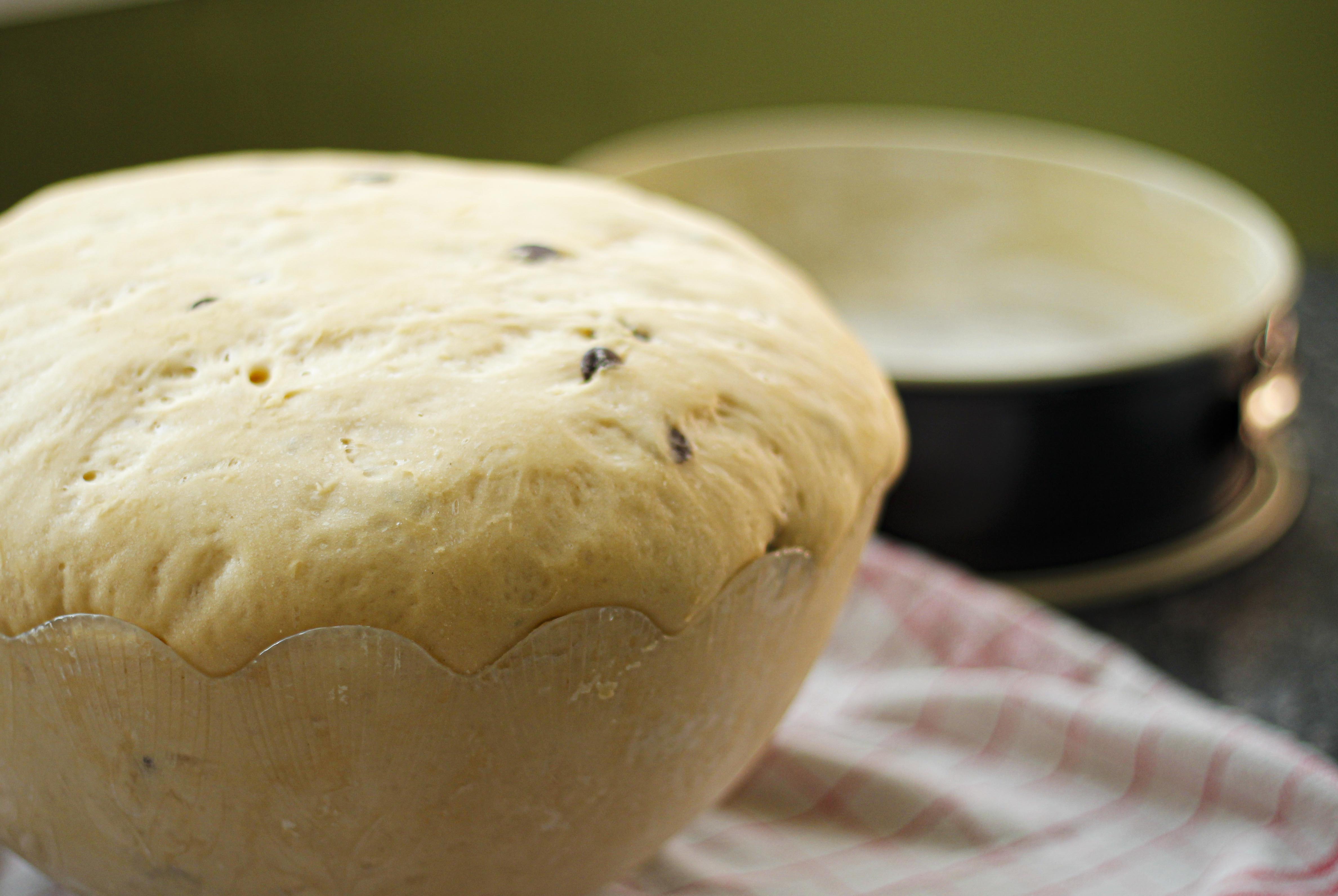 claudialeclercq-briocheauxpepiteschocolat-chocolatechipbrioche-dusoleildans lenord-solalnorte