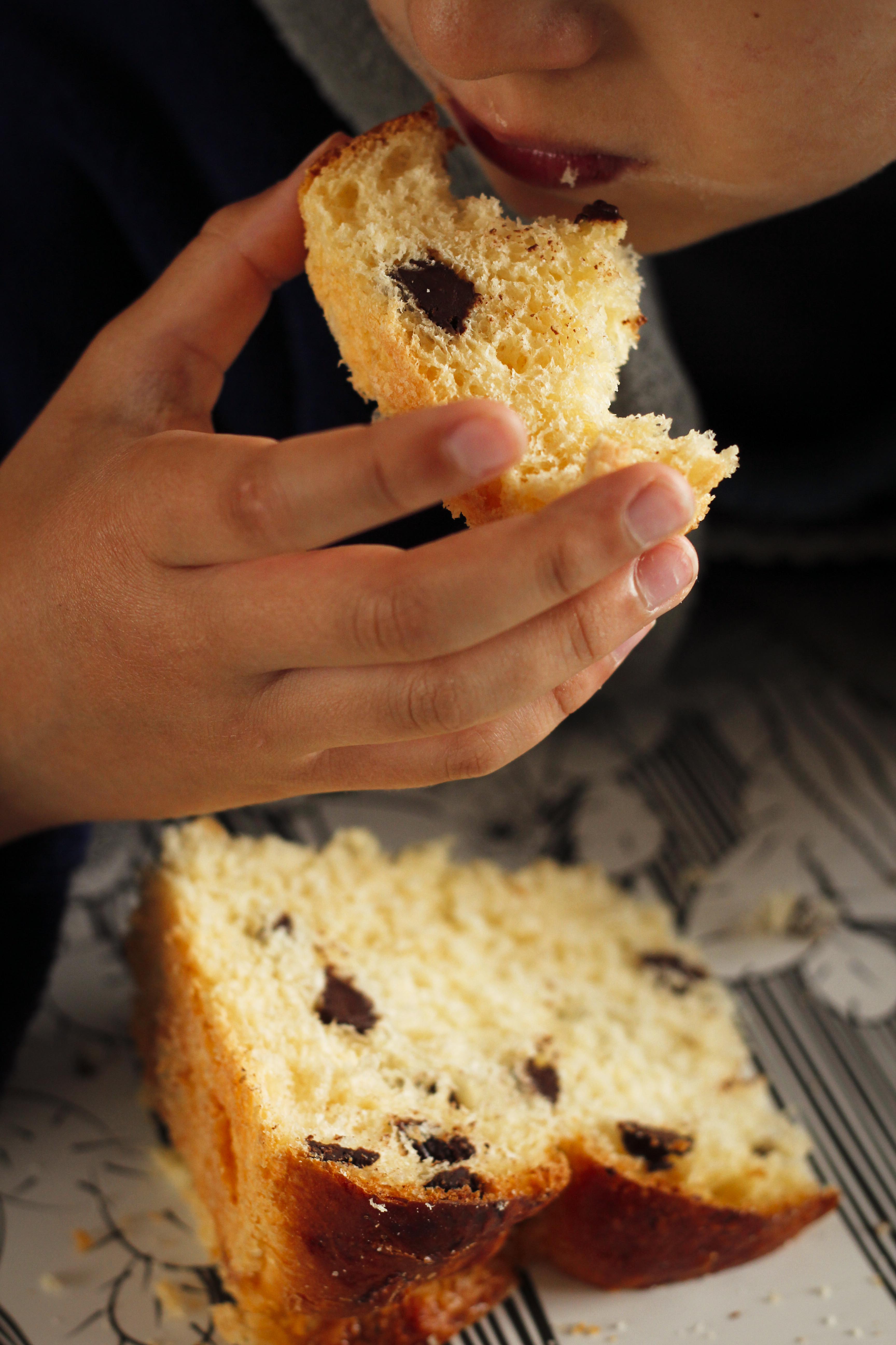 claudialeclercq-briochepepitesdechocolate-dusoleildanslenord-solalnorte