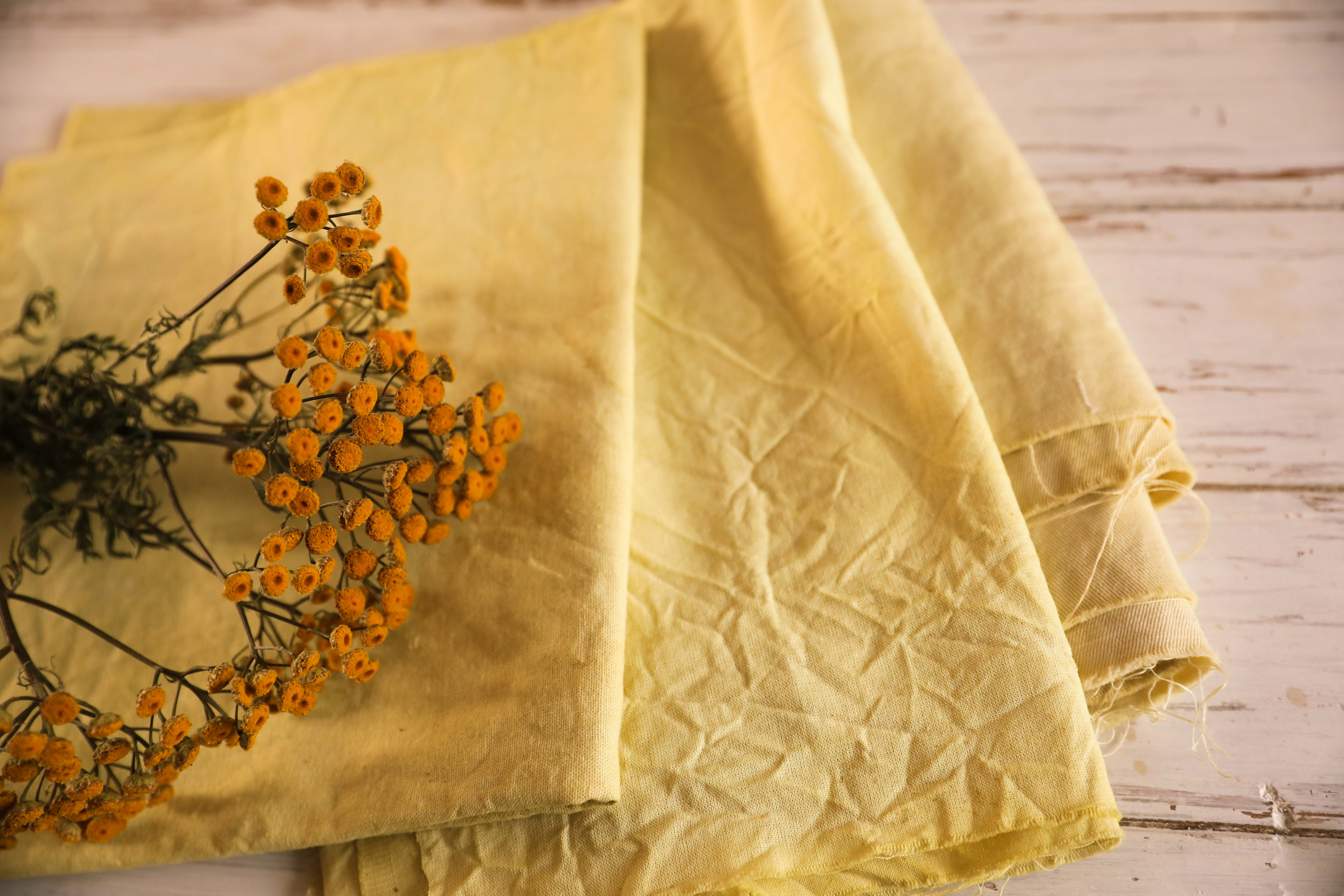 claudialeclercq-naturaldyeing-tintesvegetales-teinturesvegetales-4