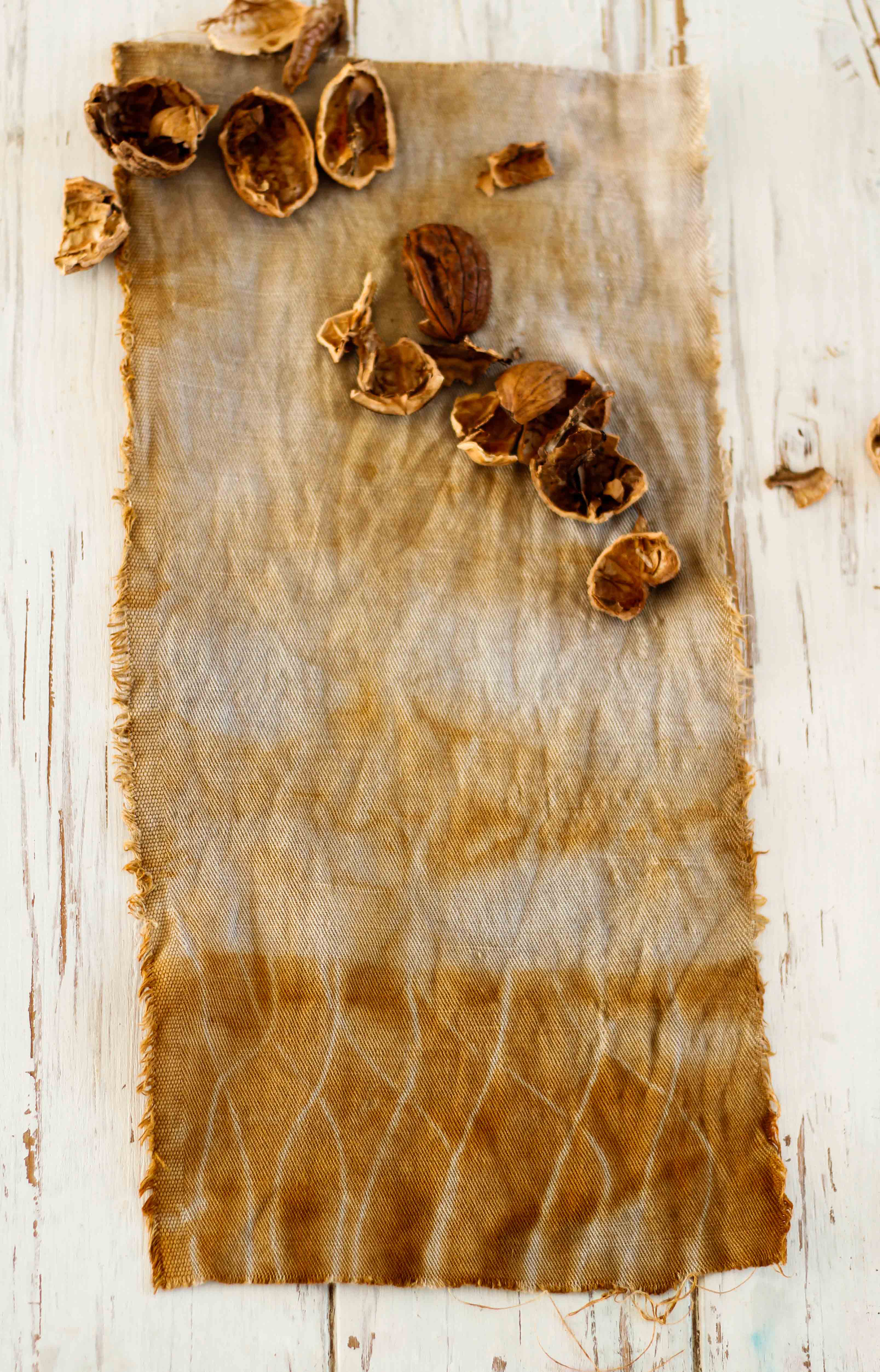 claudialeclercq-naturaldyes-tintesnaturales-walnutdyeing-tinte de nueces-teinture de noix-4