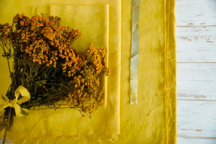 Esta flor es una buena alternativa a la cúrcuma o las flores ornamentales. 